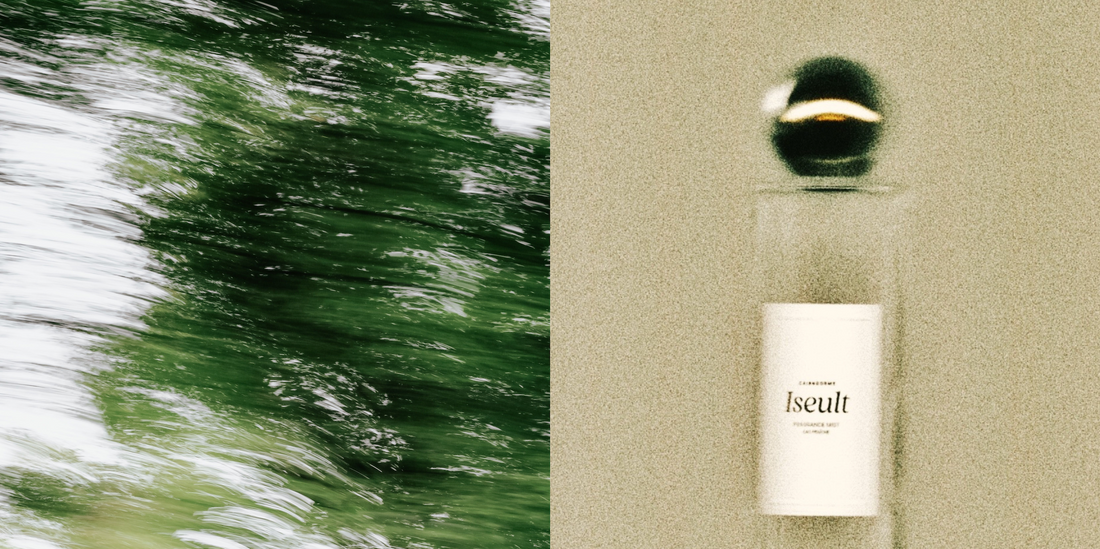 Light Woody Fragrance for Autumn | Alternative to Perfume